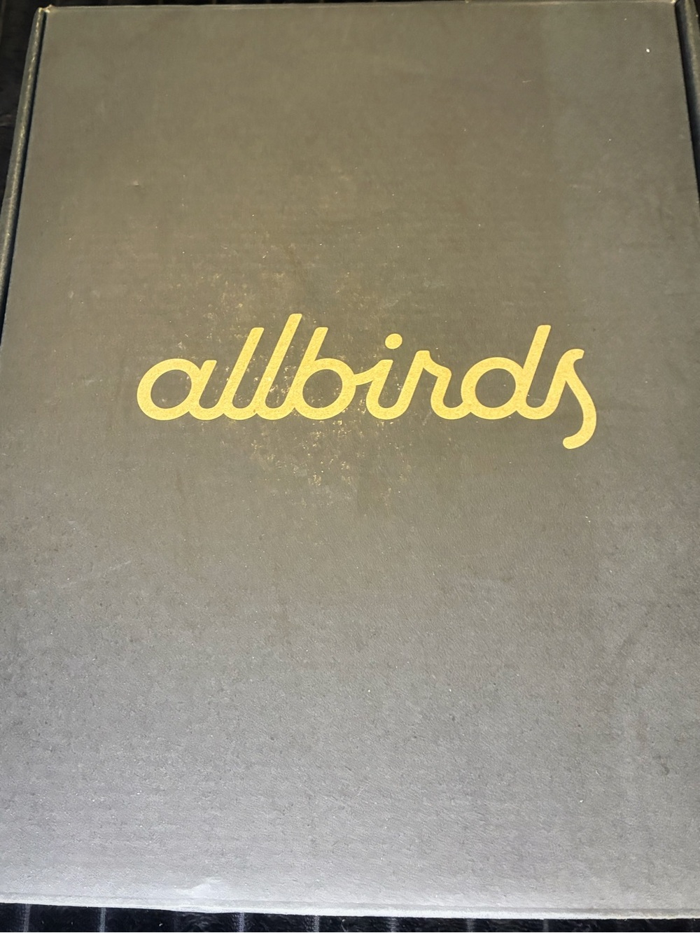 allbirds Black Pet Bird Accessory with Gold Logo